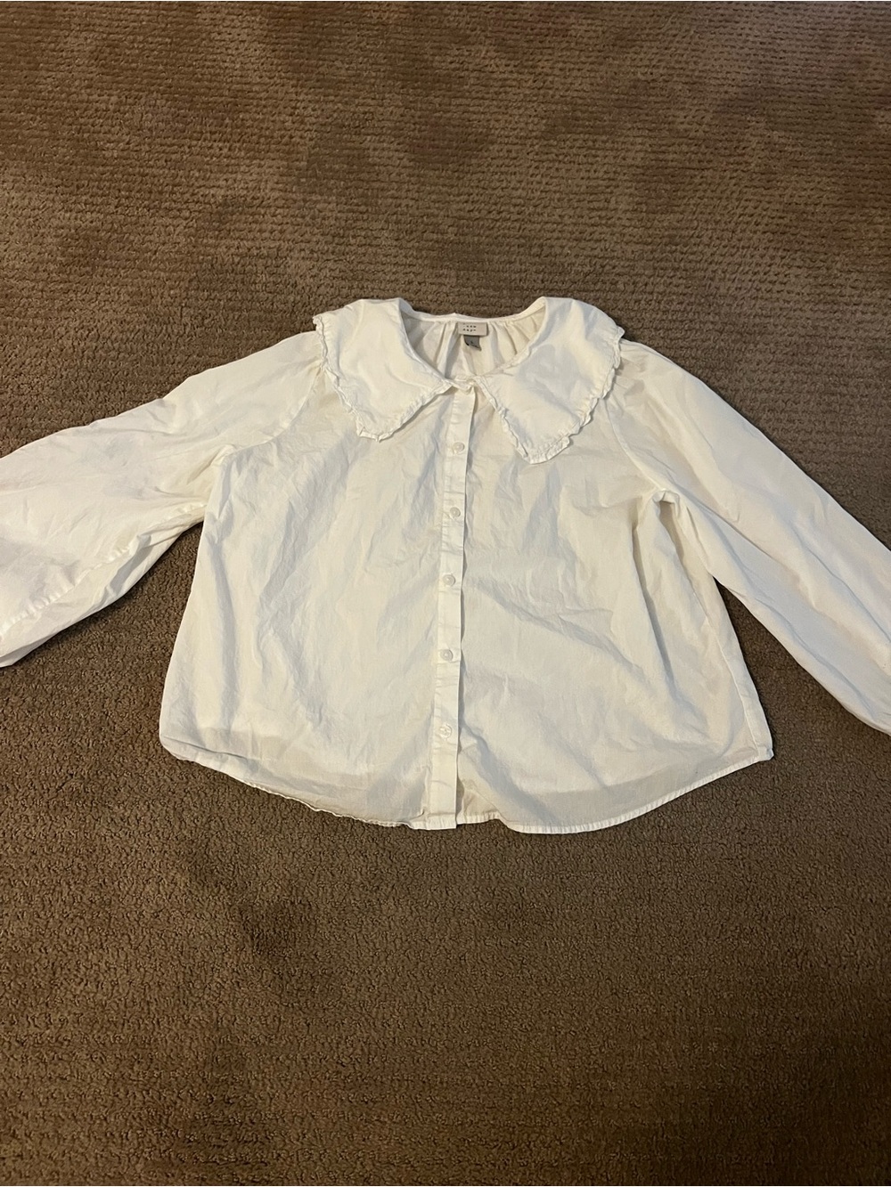 A New Day Poplin Collar Cottagecore Blouse